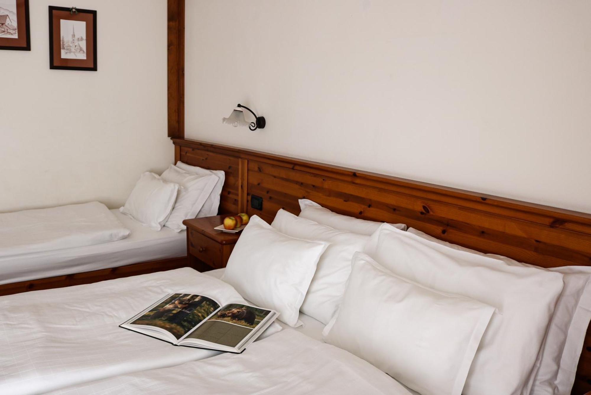 Hotel Garni Civetta Selva di Cadore Bagian luar foto